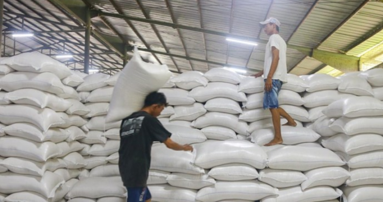 Bulog Baru Serap 190 Ribu Ton Jagung Petani, 19% dari Target