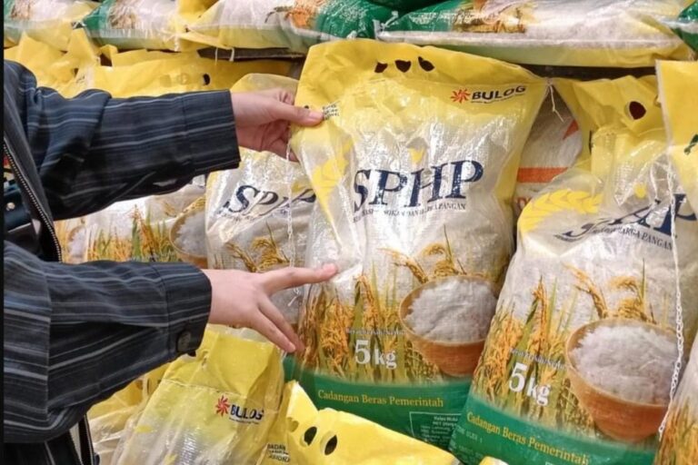 Harga Beras Naik, Bulog Genjot Penyaluran SPHP hingga 424.724 Ton